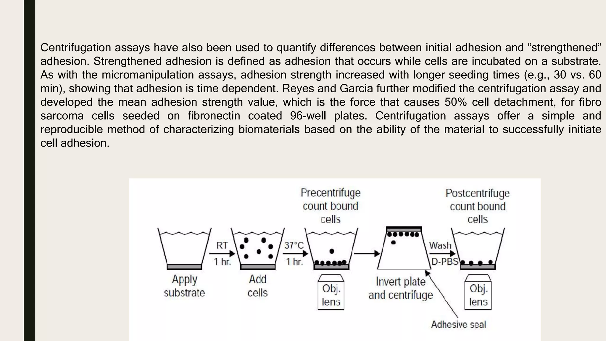 Centrifugation assays have also been used to quantify differences between initial adhesion and “strengthened”
adhesion. Strengthened adhesion is defined as adhesion that occurs while cells are incubated on a substrate.
As with the micromanipulation assays, adhesion strength increased with longer seeding times (e.g., 30 vs. 60
min), showing that adhesion is time dependent. Reyes and Garcia further modified the centrifugation assay and
developed the mean adhesion strength value, which is the force that causes 50% cell detachment, for fibro
sarcoma cells seeded on fibronectin coated 96-well plates. Centrifugation assays offer a simple and
reproducible method of characterizing biomaterials based on the ability of the material to successfully initiate
cell adhesion.
 