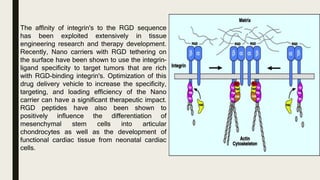 Integrin Rgd Attachment Characterization of the adhesive interactions between cells and ...