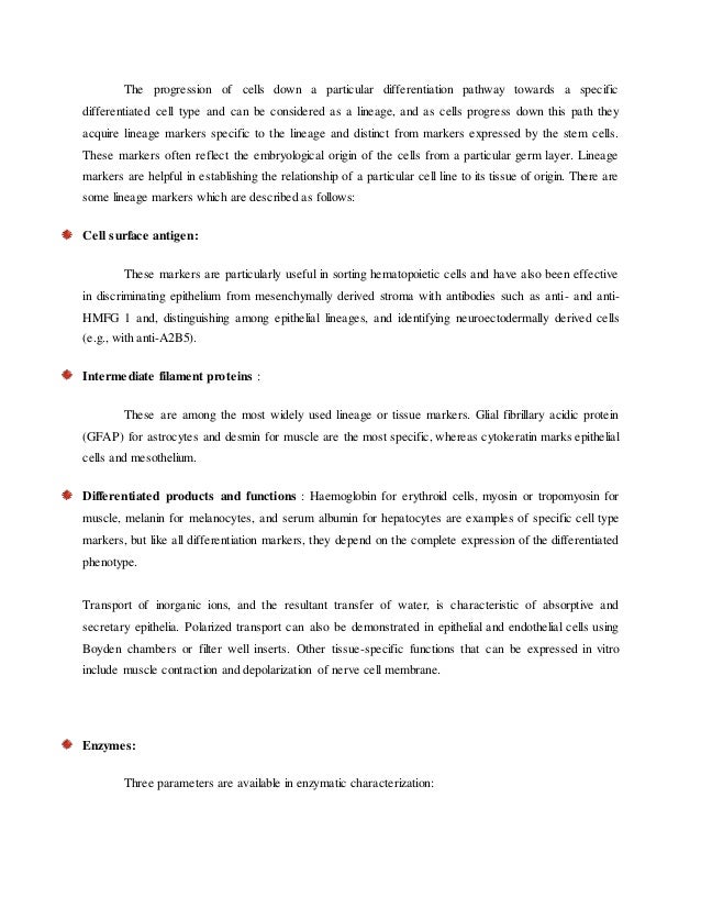 Culture essay hooks image