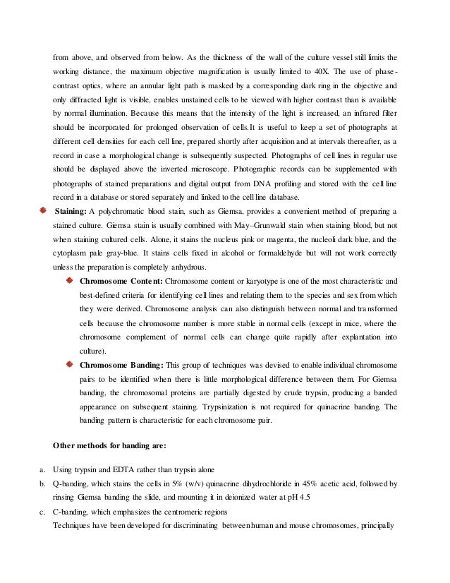 Impact of smartphones on society essay picture