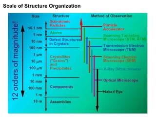 Scale of Structure Organization
 