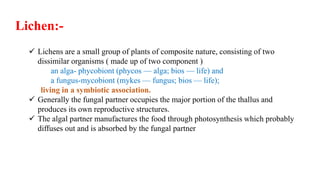  Lichens are a small group of plants of composite nature, consisting of two
dissimilar organisms ( made up of two component )
an alga- phycobiont (phycos — alga; bios — life) and
a fungus-mycobiont (mykes — fungus; bios — life);
living in a symbiotic association.
 Generally the fungal partner occupies the major portion of the thallus and
produces its own reproductive structures.
 The algal partner manufactures the food through photosynthesis which probably
diffuses out and is absorbed by the fungal partner
Lichen:-
 