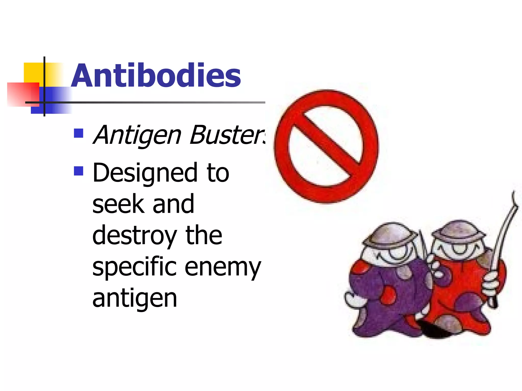 Antibodies Antigen Busters Designed to seek and destroy the specific enemy antigen