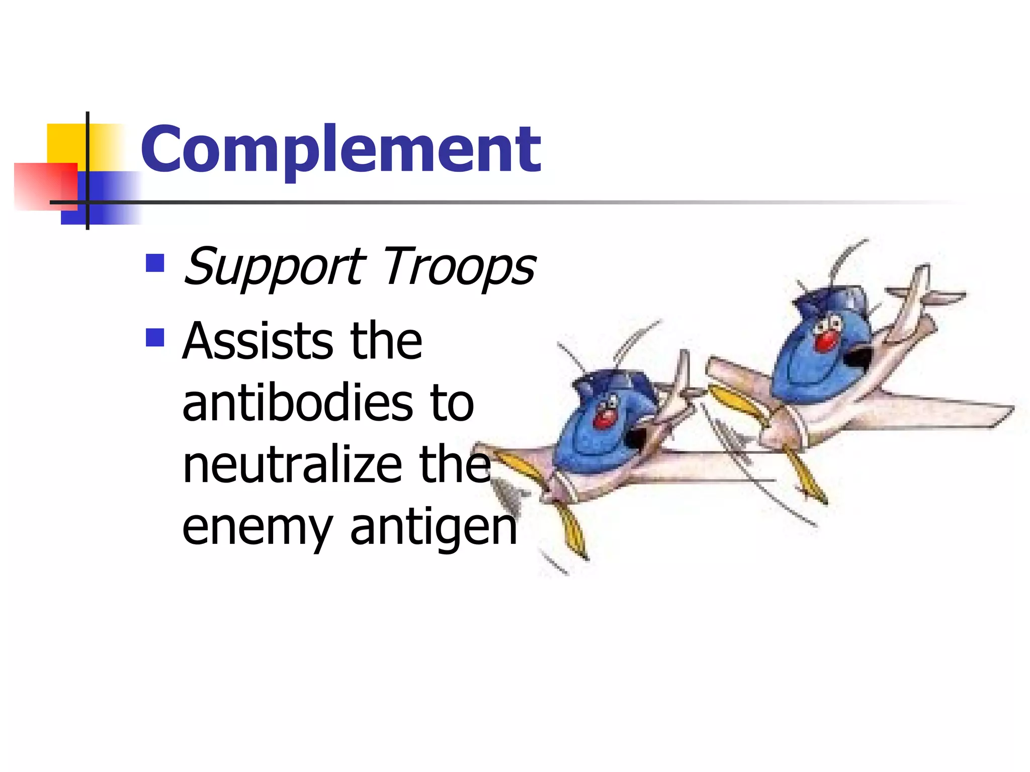 Complement Support Troops Assists the antibodies to neutralize the enemy antigen