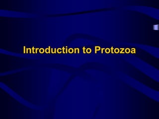 Introduction to Protozoa
 