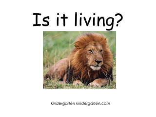 Is it living?
kindergarten kindergarten.com
 