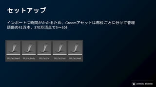 セットアップ
インポートに時間がかかるため、Groomアセットは部位ごとに分けて管理
頭部の41万本、370万頂点で5～6分
 