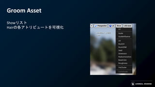 Groom Asset
Showリスト
Hairの各アトリビュートを可視化
 