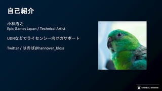 自己紹介
小林浩之
Epic Games Japan / Technical Artist
UDNなどでライセンシー向けのサポート
Twitter / はのば@hannover_bloss
 