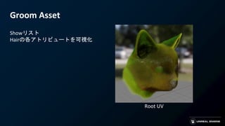 Groom Asset
Showリスト
Hairの各アトリビュートを可視化
Root UV
 