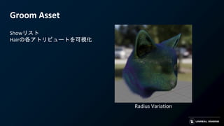 Groom Asset
Showリスト
Hairの各アトリビュートを可視化
Radius Variation
 