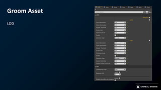 Groom Asset
LOD
 