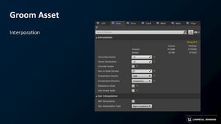 Groom Asset
Interporation
 