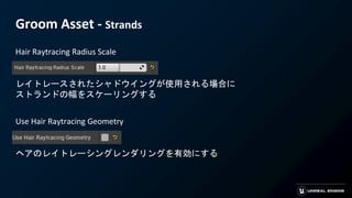Groom Asset - Strands
Hair Raytracing Radius Scale
レイトレースされたシャドウイングが使用される場合に
ストランドの幅をスケーリングする
Use Hair Raytracing Geometry
ヘアのレイトレーシングレンダリングを有効にする
 