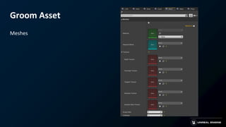 Groom Asset
Meshes
 