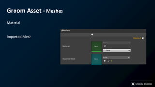 Groom Asset - Meshes
Material
Imported Mesh
 