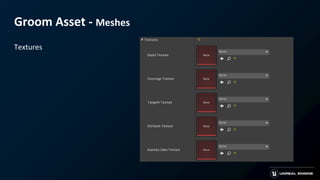 Groom Asset - Meshes
Textures
 