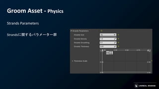 Groom Asset - Physics
Strands Parameters
Strandsに関するパラメーター群
 