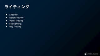 ライティング
● Shadow
● Deep Shadow
● Voxel Tracing
● Sky Lighting
● Ray Tracing
 