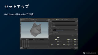 セットアップ
Hair GroomはHoudiniで作成
 