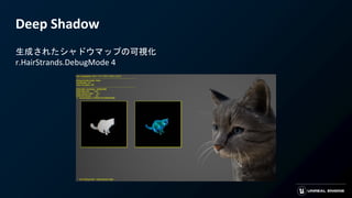 Deep Shadow
生成されたシャドウマップの可視化
r.HairStrands.DebugMode 4
 