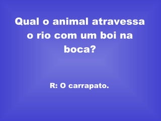 Qual o animal atravessa o rio com um boi na boca? R: O carrapato.  