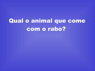 Qual o animal que come com o rabo?  