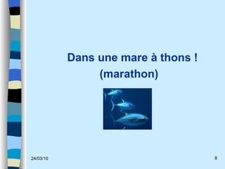 Dans une mare à thons ! (marathon) 