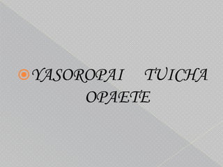 YASOROPAI TUICHA
      OPAETE
 
