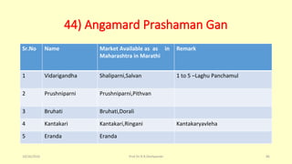 44) Angamard Prashaman Gan
Sr.No Name Market Available as as in
Maharashtra in Marathi
Remark
1 Vidarigandha Shaliparni,Salvan 1 to 5 –Laghu Panchamul
2 Prushniparni Prushniparni,Pithvan
3 Bruhati Bruhati,Dorali
4 Kantakari Kantakari,Ringani Kantakaryavleha
5 Eranda Eranda
10/26/2016 Prof.Dr.R.R.Deshpande 86
 