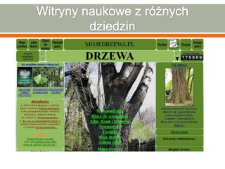 Charakterystyka internetowych witryn edukacyjnych i naukowych