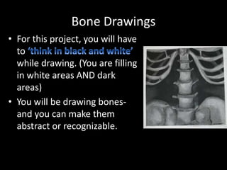 Bone Drawings
• For this project, you will have
to
while drawing. (You are filling
in white areas AND dark
areas)
• You will be drawing bones-
and you can make them
abstract or recognizable.
 