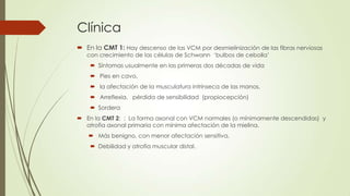 Clínica
 En la CMT 1: Hay descenso de las VCM por desmielinización de las fibras nerviosas
   con crecimiento de las células de Schwann „bulbos de cebolla‟
     Síntomas usualmente en las primeras dos décadas de vida
     Pies en cavo,
     la afectación de la musculatura intrínseca de las manos,
     Arreflexia, pérdida de sensibilidad (propiocepción)
     Sordera
 En la CMT 2: : La forma axonal con VCM normales (o mínimamente descendidas) y
  atrofia axonal primaria con mínima afectación de la mielina.
    Más benigno, con menor afectación sensitiva.
     Debilidad y atrofia muscular distal.
 
