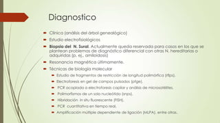 Diagnostico
 Clínica (análisis del árbol genealógico)
 Estudio electrofisiológicos
 Biopsia del N. Sural. Actualmente queda reservada para casos en los que se
  plantean problemas de diagnóstico diferencial con otras N. hereditarias o
  adquiridas (p. ej., amiloidosis)
 Resonancia magnética últimamente.
 Técnicas de biología molecular
     Estudio de fragmentos de restricción de longitud polimórfica (rflps),
     Electroforesis en gel de campos pulsados (pfge),
     PCR acoplada a electroforesis capilar y análisis de microsatélites,
     Polimorfismos de un solo nucleótido (snps),
     Hibridación in situ fluorescente (FISH),
     PCR cuantitativa en tiempo real,
     Amplificación múltiple dependiente de ligación (MLPA), entre otras.
 