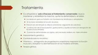 Tratamiento
 Cx ortopédica: solo si fracasa el tratamiento conservador, busca
  mantener y estabilizar la marcha, quitar la deformidad y el dolor.
     Los dedos en garra se tratarán con transferencias tendinosas o artroplastias.
     En la mano restabilizar la función de pinza,
     Para el varo de retropié se utiliza la osteotomía valguizante de calcáneo.
     La retracción de la fascia plantar, gastrocnemio y aquiles se trata con elongación de
      las estructuras retraídas.
     Cuando las deformidades son rígidas, será necesario realizar una triple artrodesis

 Asesoramiento genético.
 Contraindicada la vincristina.
 Vitamina c , antagonista de progesterona onapristona mejoraron la función
  muscular y redujeron la desmielinización en los modelos animales.
 Terapia génica,
 