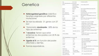 Genetica

 Heterogeidad genética: (idéntico
  fenotipo originado por diferentes
  mutaciones
 Se han localizado 31 genes con 37
  loci
 Transmisión dominante ; 50% de los
  hijos de enfermar
 T recesiva: tienen que estar
  enfermos los dos padres con 25 % de
  enfermar
 Ligada al X: en función del padre
  afectado y del hijo,
 Formas esporádicas.
 