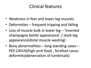 Clinical features
• Weakness in feet and lower leg muscles
• Deformities – frequent tripping and falling
• Loss of muscle bulk in lower leg – ‘inverted
champagne bottle appearance’ / stork leg
appearance(distal muscle wasting)
• Bony abnormalities – long standing cases –
PES CAVUS(high arch foot) , forefoot cavus
deformity(denervation of lumbricals)
 