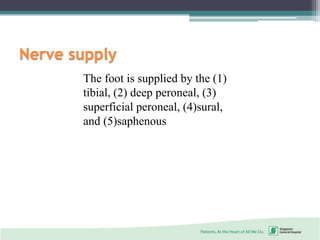 Nerve supply
The foot is supplied by the (1)
tibial, (2) deep peroneal, (3)
superficial peroneal, (4)sural,
and (5)saphenous
 