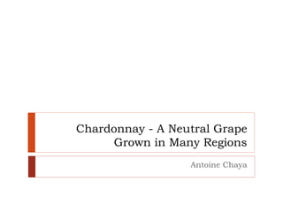 Chardonnay - A Neutral Grape
Grown in Many Regions
Antoine Chaya
 