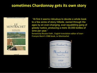 Chardonnay Marvellous Diversity Jly08