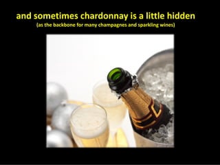 Chardonnay Marvellous Diversity Jly08