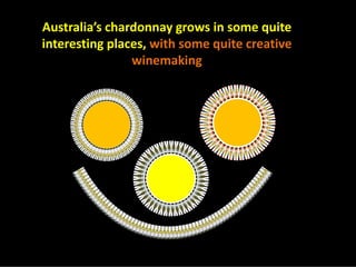 Chardonnay Marvellous Diversity Jly08