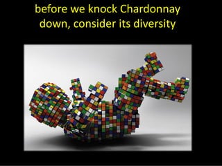 Chardonnay Marvellous Diversity Jly08