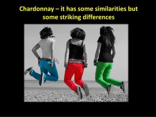 Chardonnay Marvellous Diversity Jly08