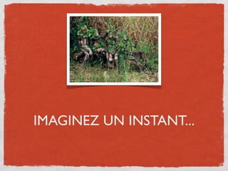 IMAGINEZ UN INSTANT...
 