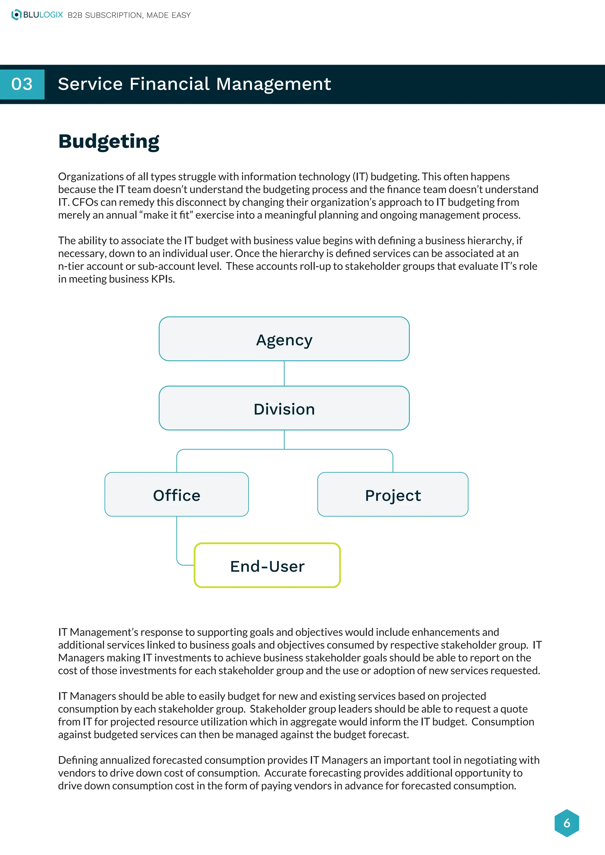 Chargeback Solution Overview BluLogix PDF Cloud Computing