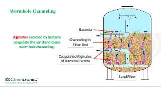 Wormhole Channeling
Alginates excreted by bacteria
coagulate the sand and cause
wormhole channeling.
Coagulated Alginates
of Bacteria Excreta
Channeling In
Filter Bed
Bacteria
Sand Filter
 