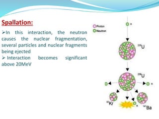 Spallation:
In this interaction, the neutron
causes the nuclear fragmentation,
several particles and nuclear fragments
being ejected
 Interaction becomes significant
above 20MeV
 