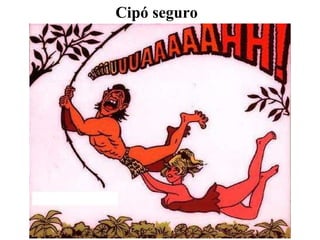 Cipó seguro 