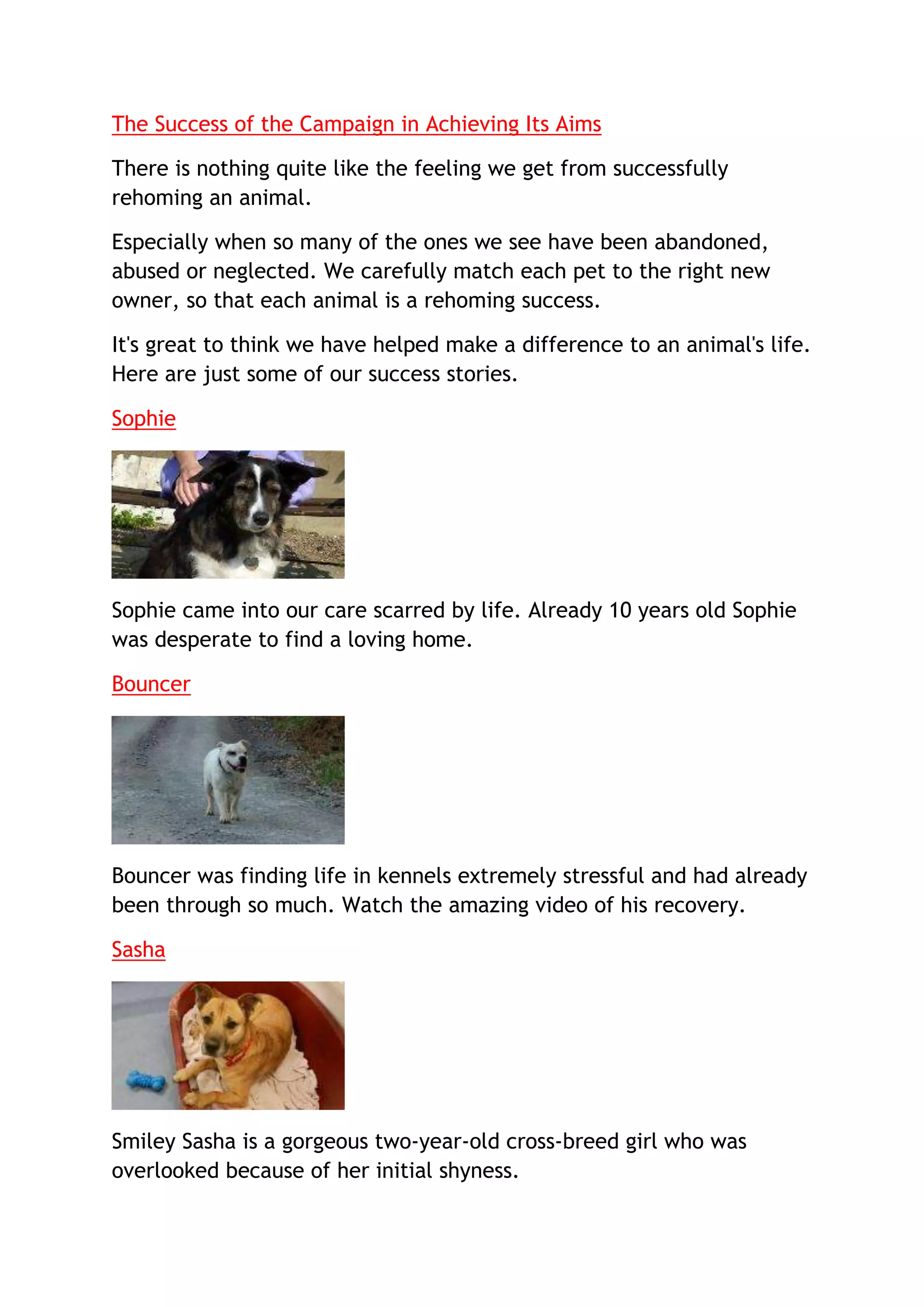 The Success of the Campaign in Achieving Its Aims

There is nothing quite like the feeling we get from successfully
rehoming an animal.

Especially when so many of the ones we see have been abandoned,
abused or neglected. We carefully match each pet to the right new
owner, so that each animal is a rehoming success.

It's great to think we have helped make a difference to an animal's life.
Here are just some of our success stories.

Sophie




Sophie came into our care scarred by life. Already 10 years old Sophie
was desperate to find a loving home.

Bouncer




Bouncer was finding life in kennels extremely stressful and had already
been through so much. Watch the amazing video of his recovery.

Sasha




Smiley Sasha is a gorgeous two-year-old cross-breed girl who was
overlooked because of her initial shyness.
 